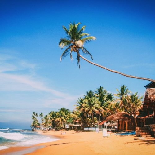 28d36f689628a9e6e6ef2ea1449fa4ea